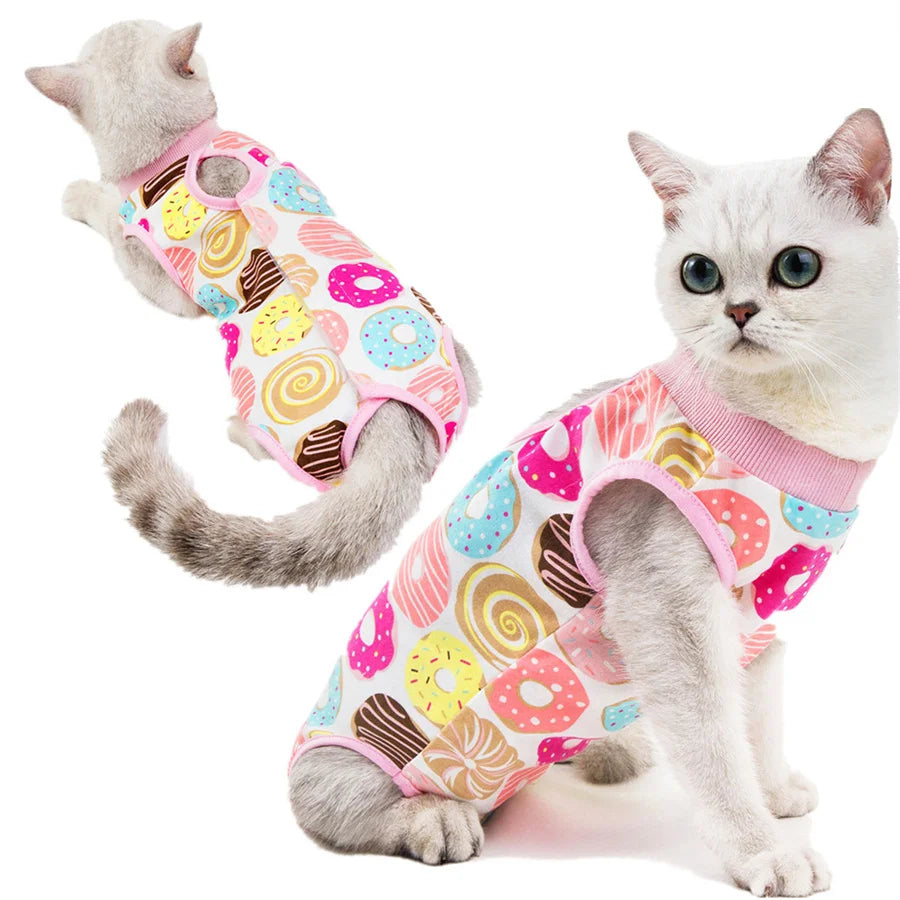 Graue Katze mit pinkem Rettungsvest mit bunten Punkten und Wirbeln
