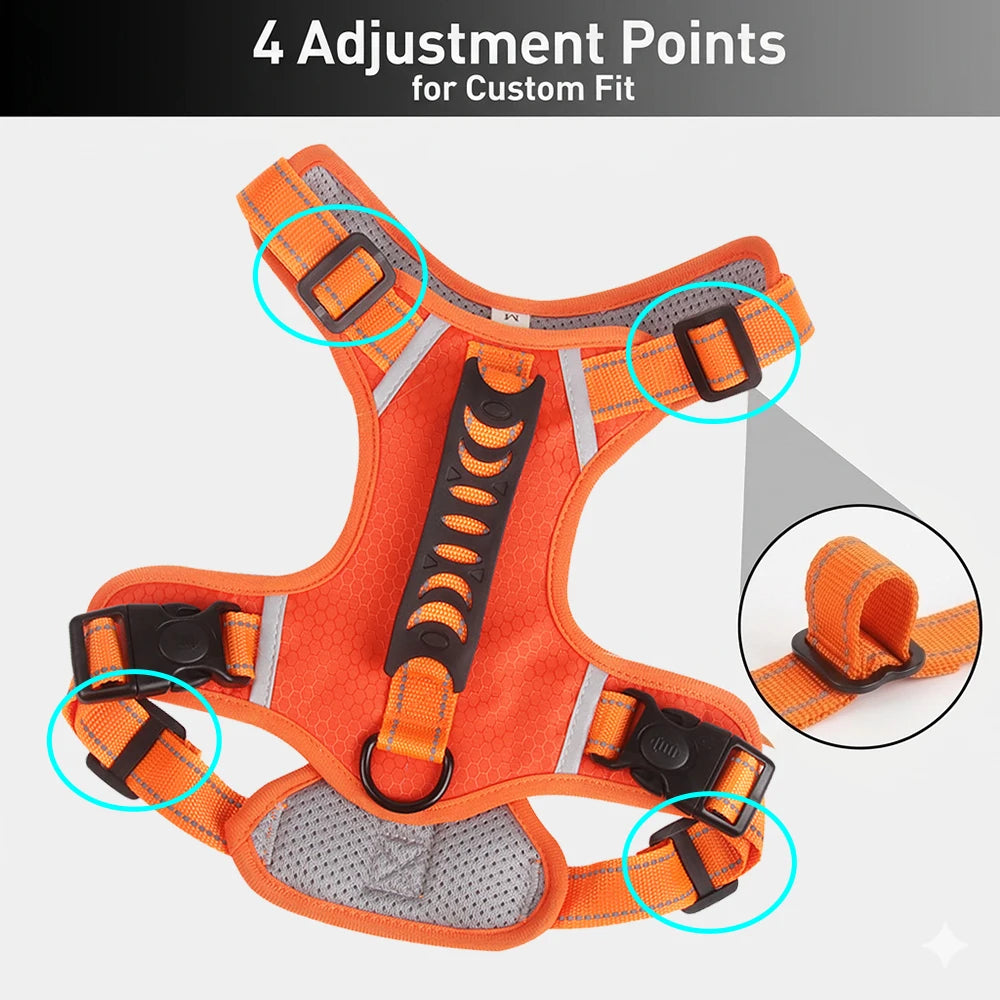 Orange reflective dog harness showing four adjustment points for a custom fit