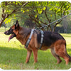 A brown German Shepherd wearing a dark harness is standing in a grassy outdoor field.