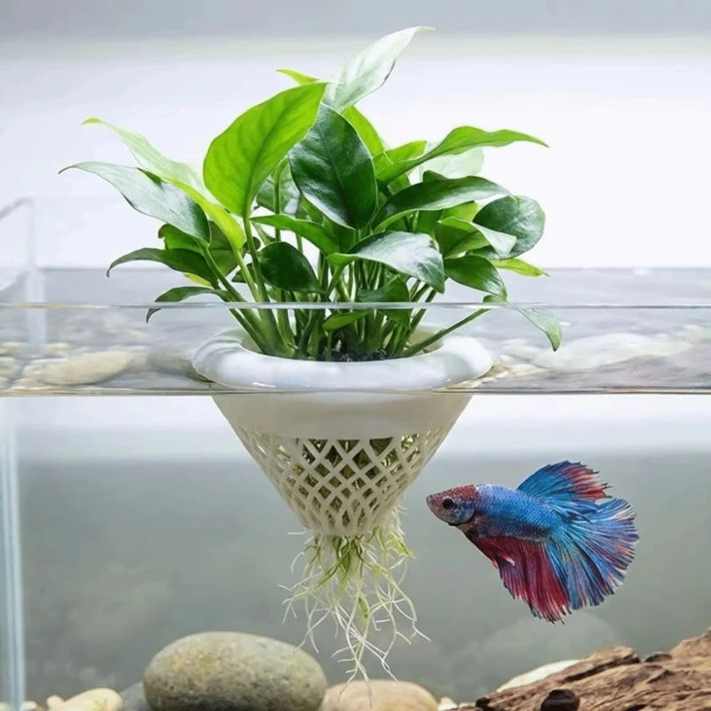 A vibrant green aquatic plant is rooted in a white pot, suspended above a gravel substrate in an aquarium.