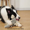 Bite-Resistant Plush Dog Toy Lion Wolf Elephant Squeaky