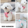 Striped Color-Block Dog Harness with Matching Leash
