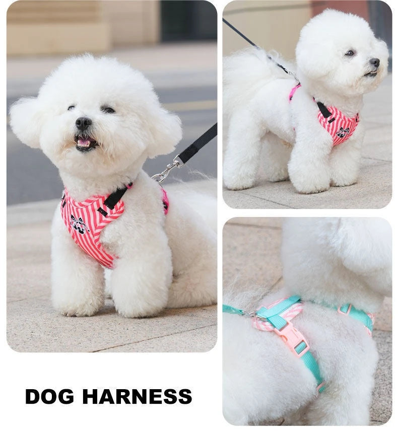 Striped Color-Block Dog Harness with Matching Leash