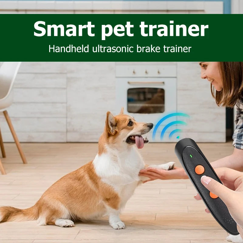 A person is using a handheld ultrasonic brake trainer to interact with a dog.