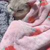 Strawberry Pink Flannel Throw Blanket for Pets and People