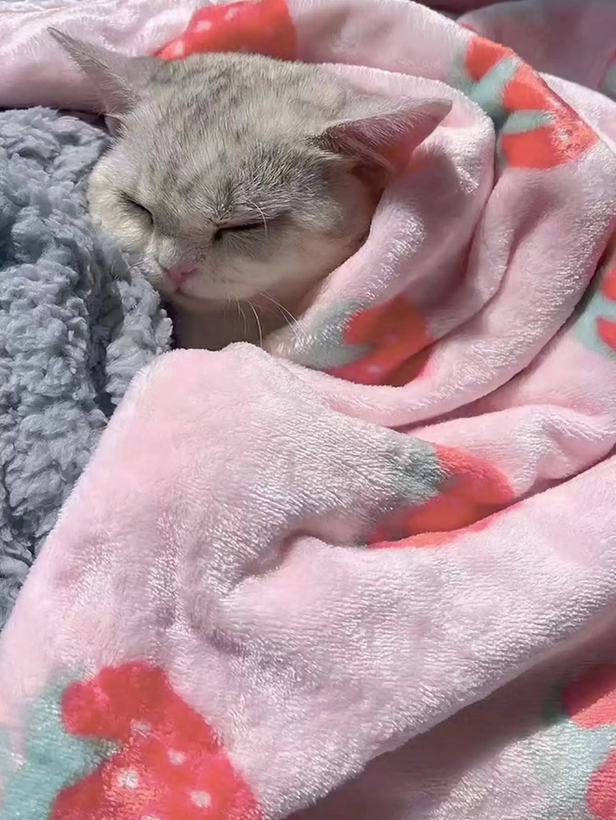 Strawberry Pink Flannel Throw Blanket for Pets and People