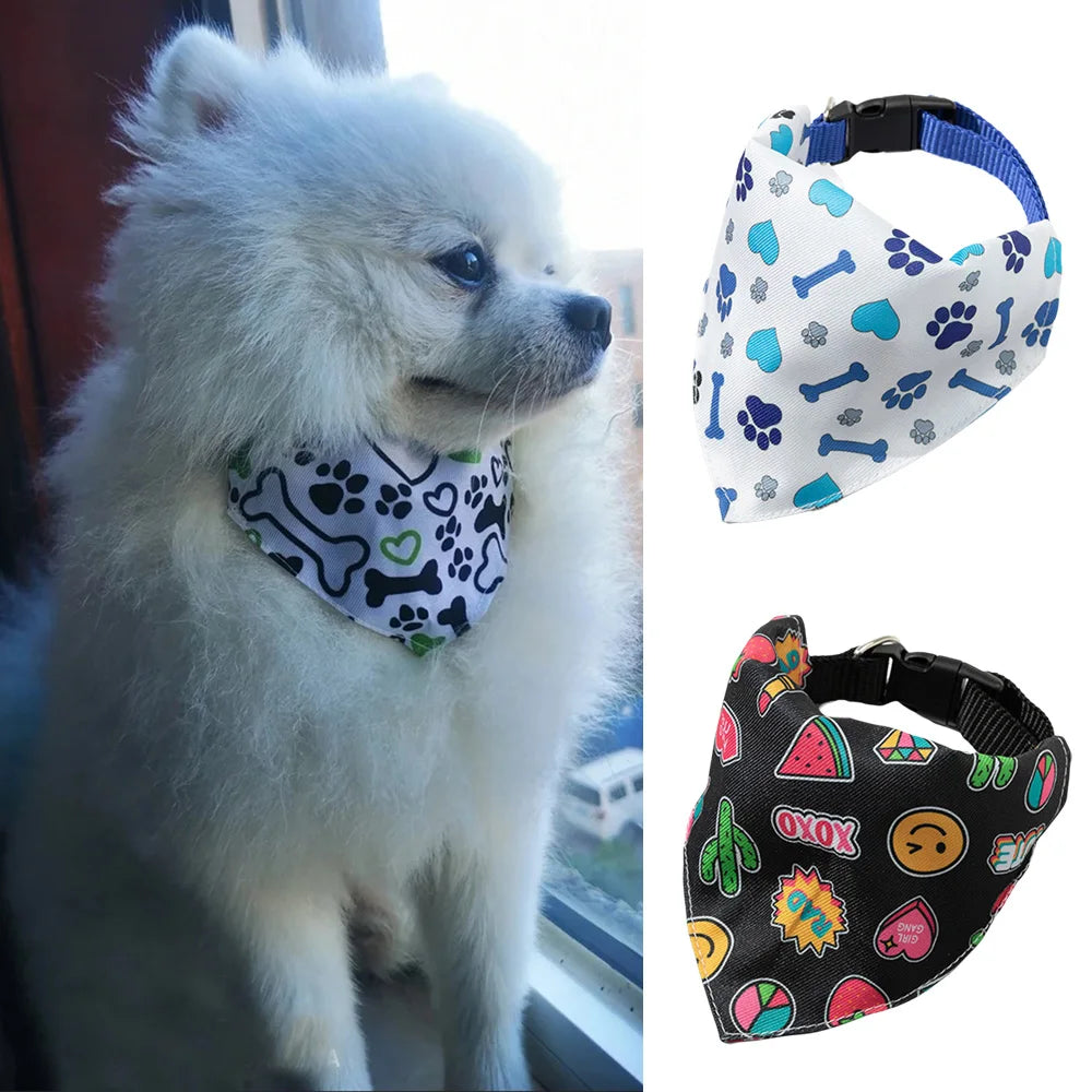A white fluffy dog wearing a patterned fabric bandana collar and a separate fabric bandana for small pets.