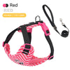 Striped Color-Block Dog Harness with Matching Leash