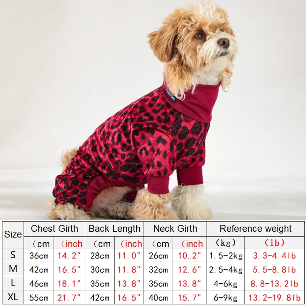 A small, light-colored dog wearing a red leopard print jumpsuit.