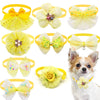Lace Bow Tie Collar Accessory for Small Dogs and Cats