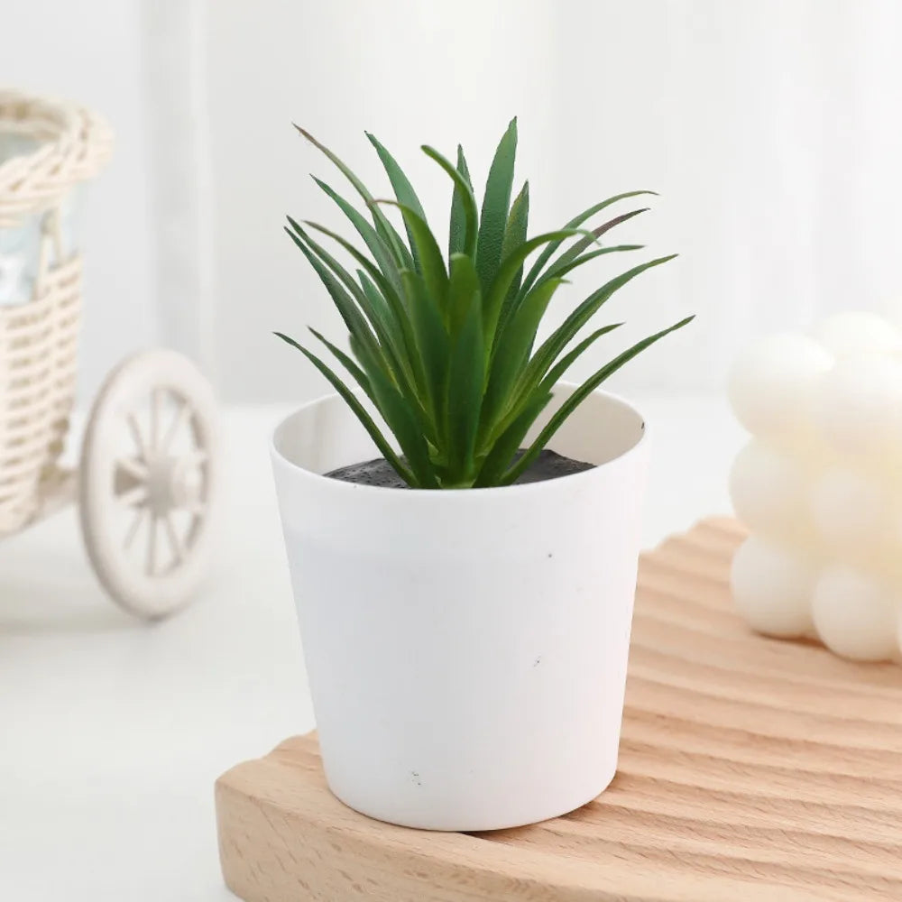 Artificial cactus succulent bonsai plant in a white decorative pot sitting on a wooden surface