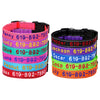 Personalisierte bestickte Nylon-Hundehalsband