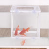 Aquarium Fish Breeding Isolation Box with Suction Cups