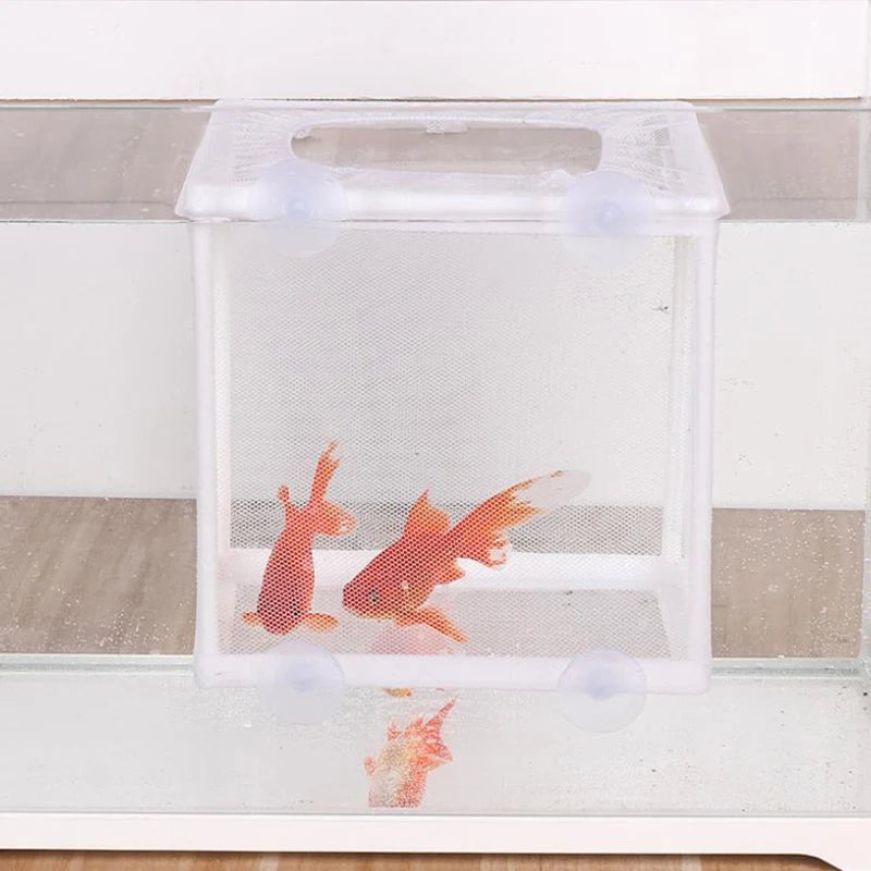 Aquarium Fish Breeding Isolation Box with Suction Cups