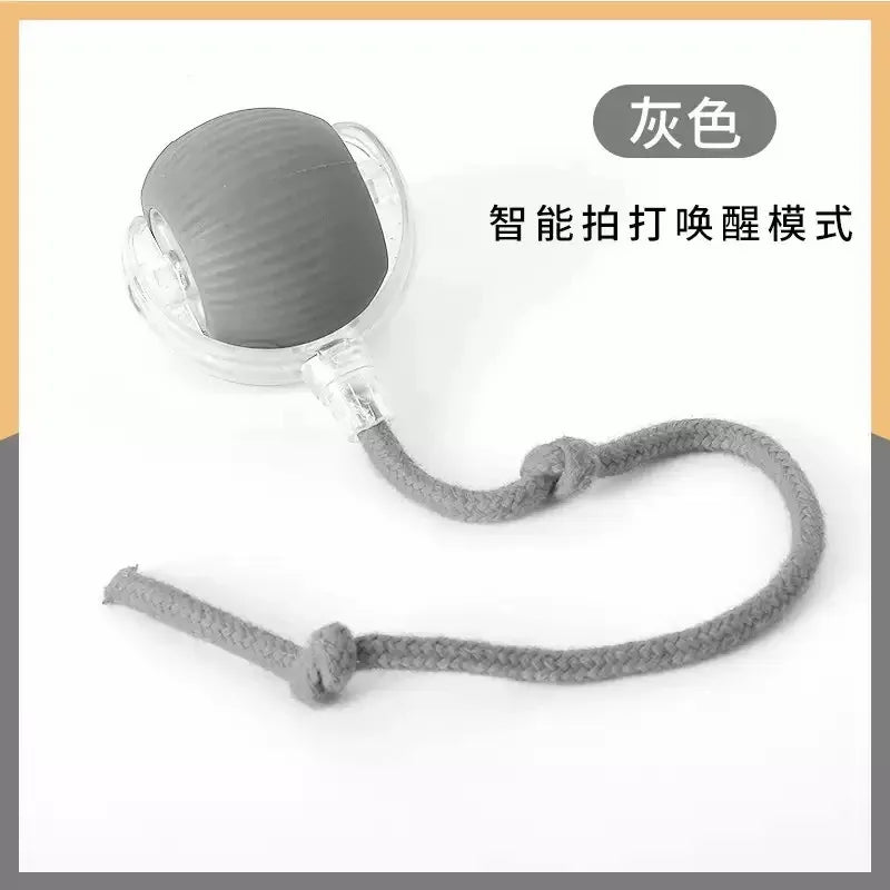Interactive Automatic Rolling Dog Ball with Motion Activation