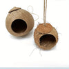A natural coconut shell bird nest hanging by twine.