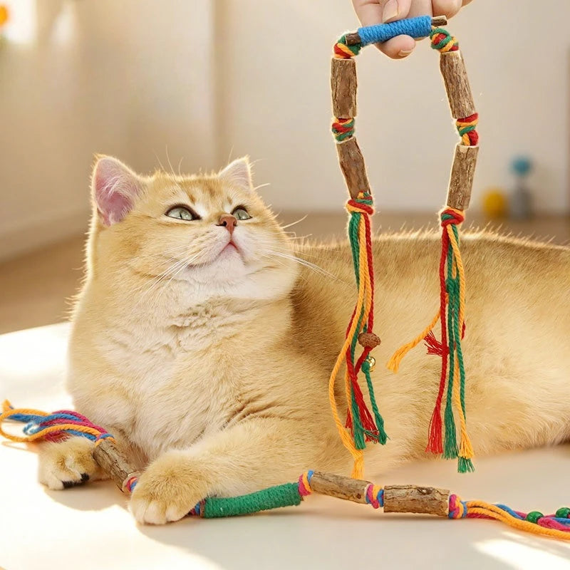 Robbes Knotenseil-Spielzeug für Hunde & Katzen