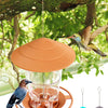 Nourriceur à graines pour oiseaux orange et imperméable avec bol en verre et base métallique, suspendu à une branche d'arbre.