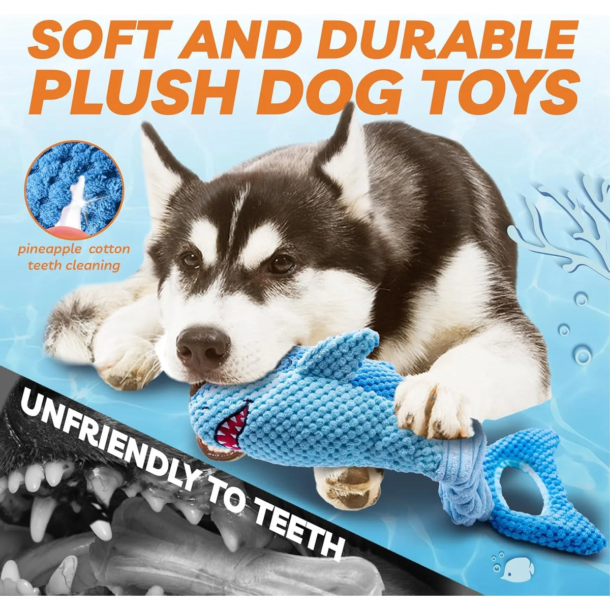 A fluffy husky dog is resting next to a blue plush shark chew toy designed for teeth cleaning.