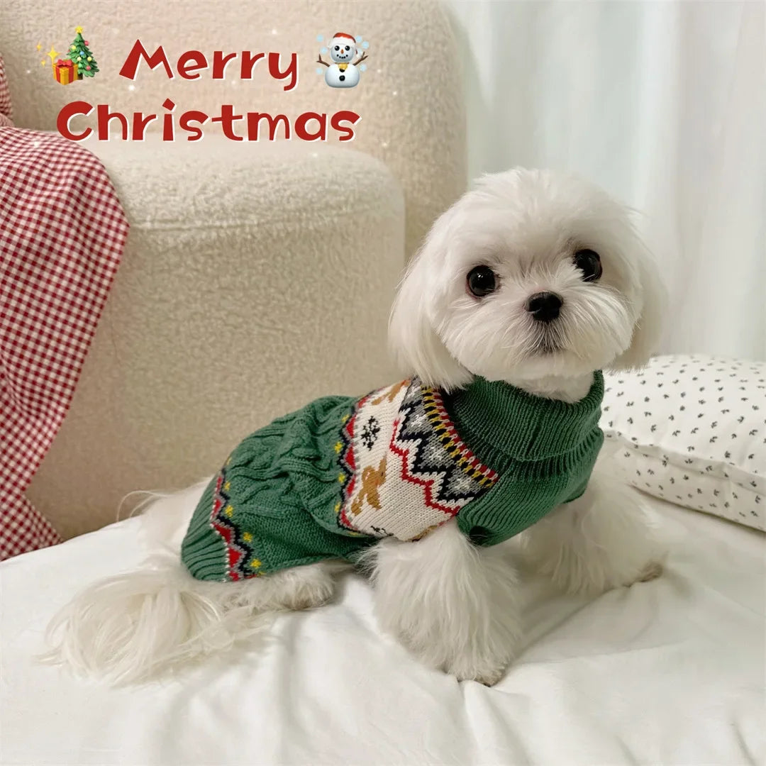 A white fluffy dog wearing a green knit sweater with colorful patterns, sitting on a white surface.