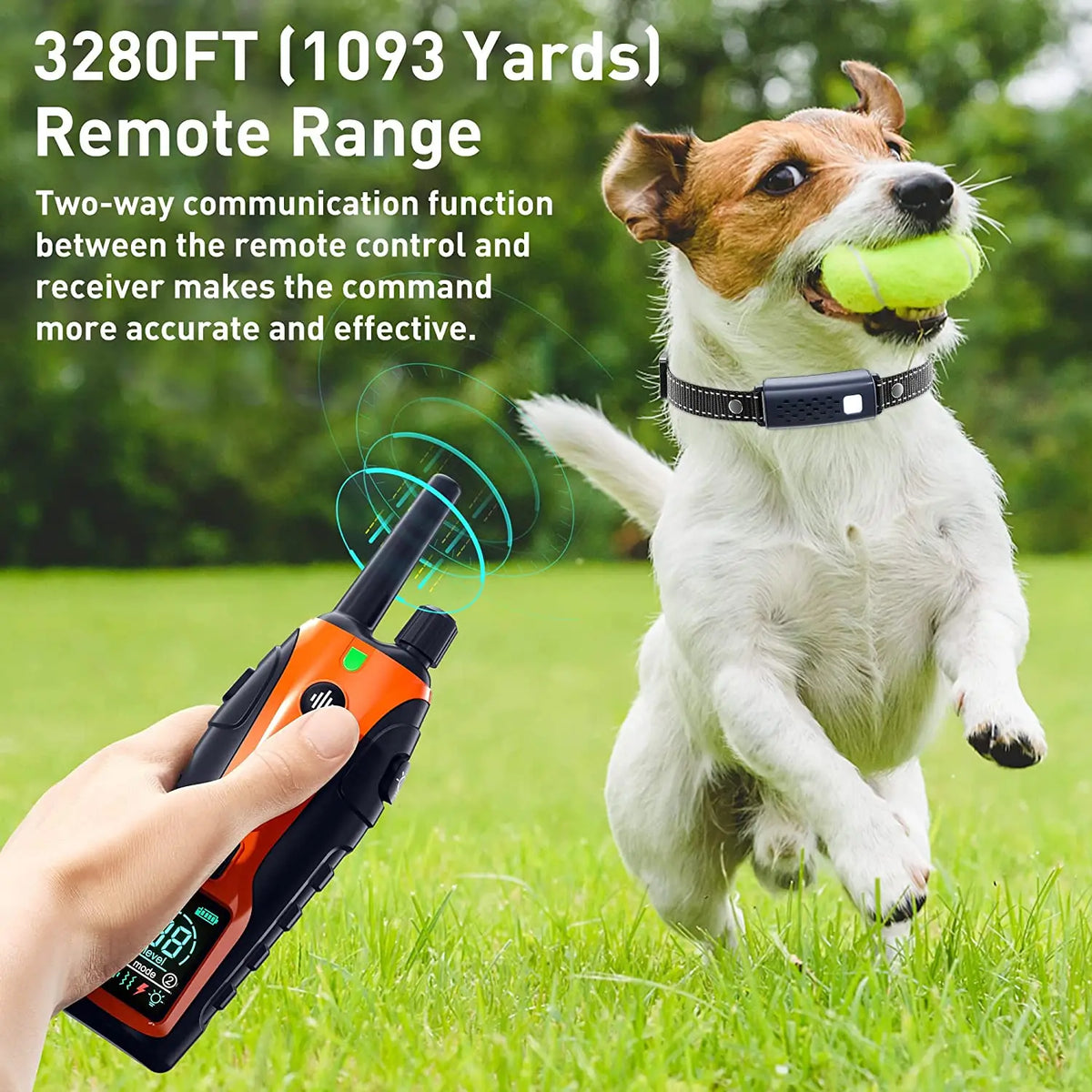 A dog is running in a grassy field while a person holds an orange remote control for training.