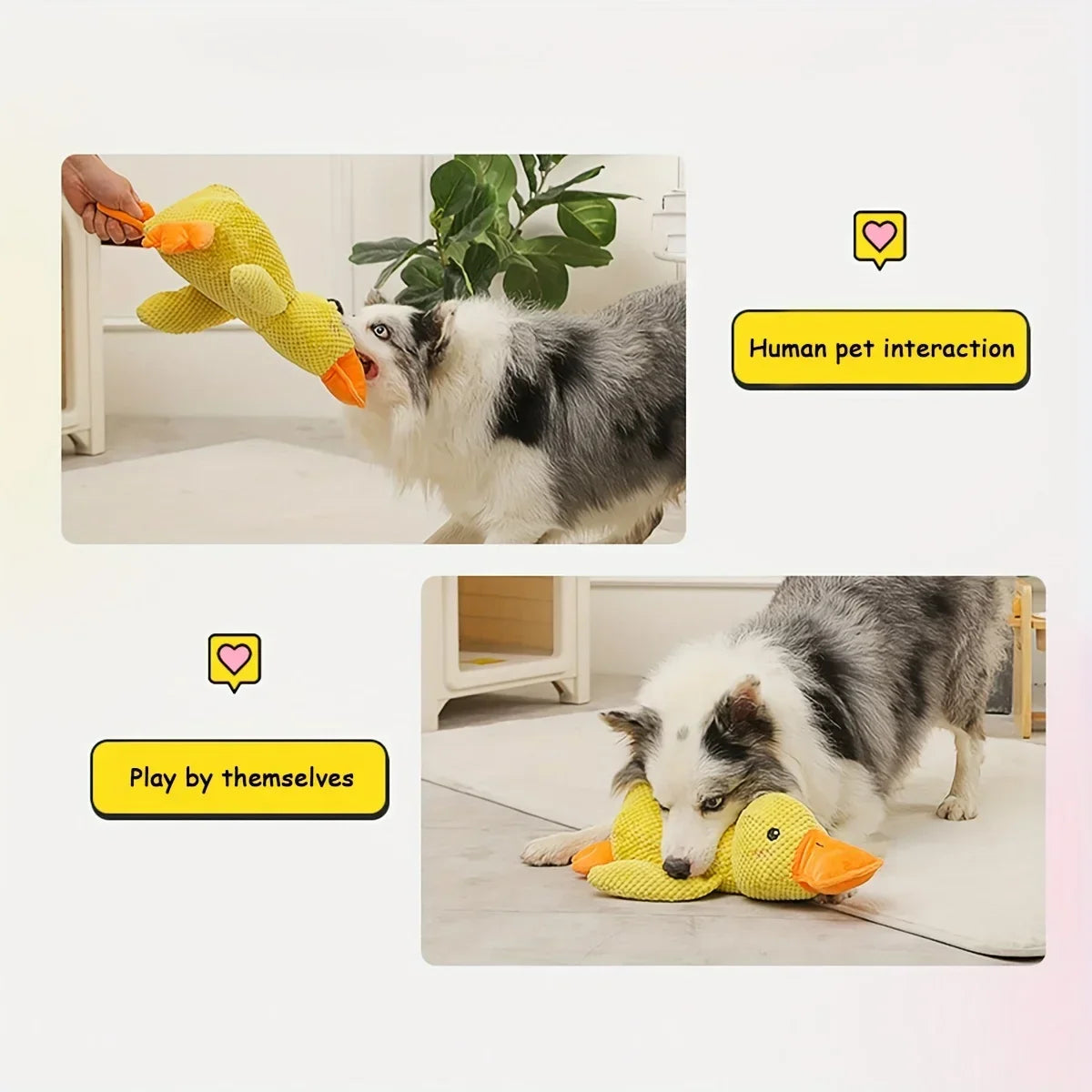 Large Duck Plush Squeaky Toy for Dogs