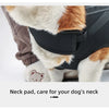 Großer Hundetrage-Rucksack