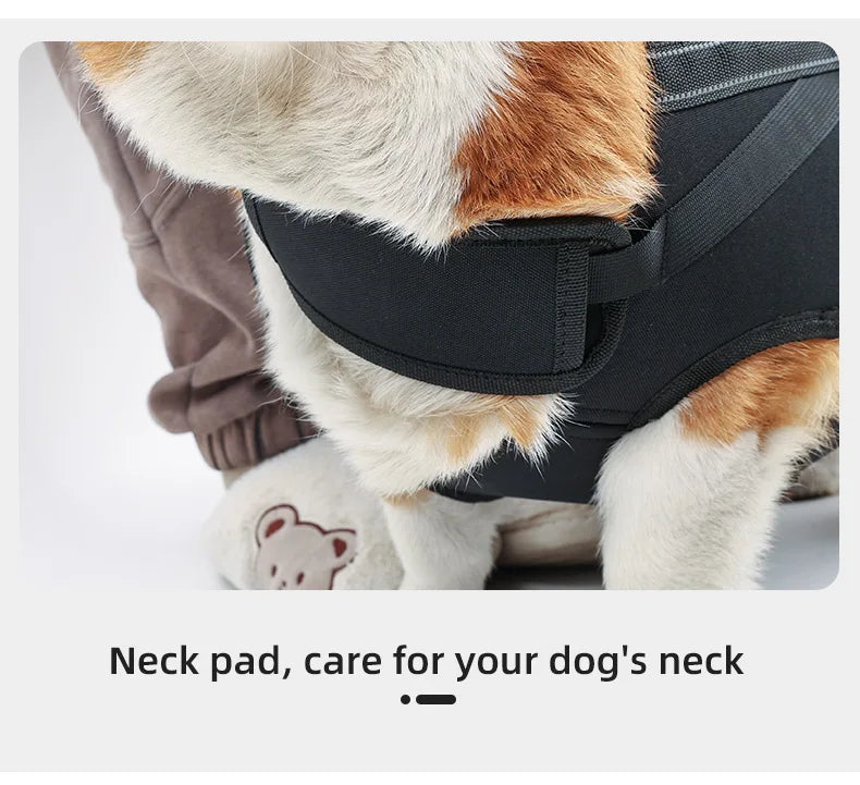 Großer Hundetrage-Rucksack