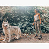 Hands-Free Dog Waist Leash with Lumbar Support and Reflective Bungee