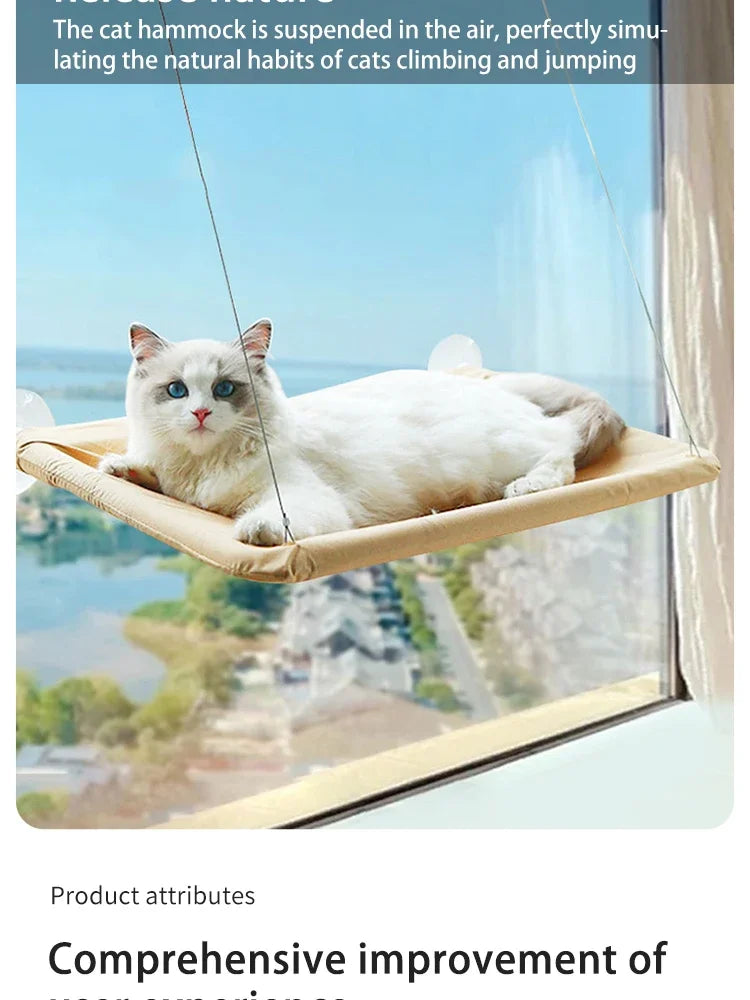 A white cat is relaxing in a suspended window hammock, simulating natural climbing and jumping habits.