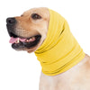 Hundertfarbiger Hund trägt eine gelbe beruhigende Ohrenschutz-Mütze für Haustiere.