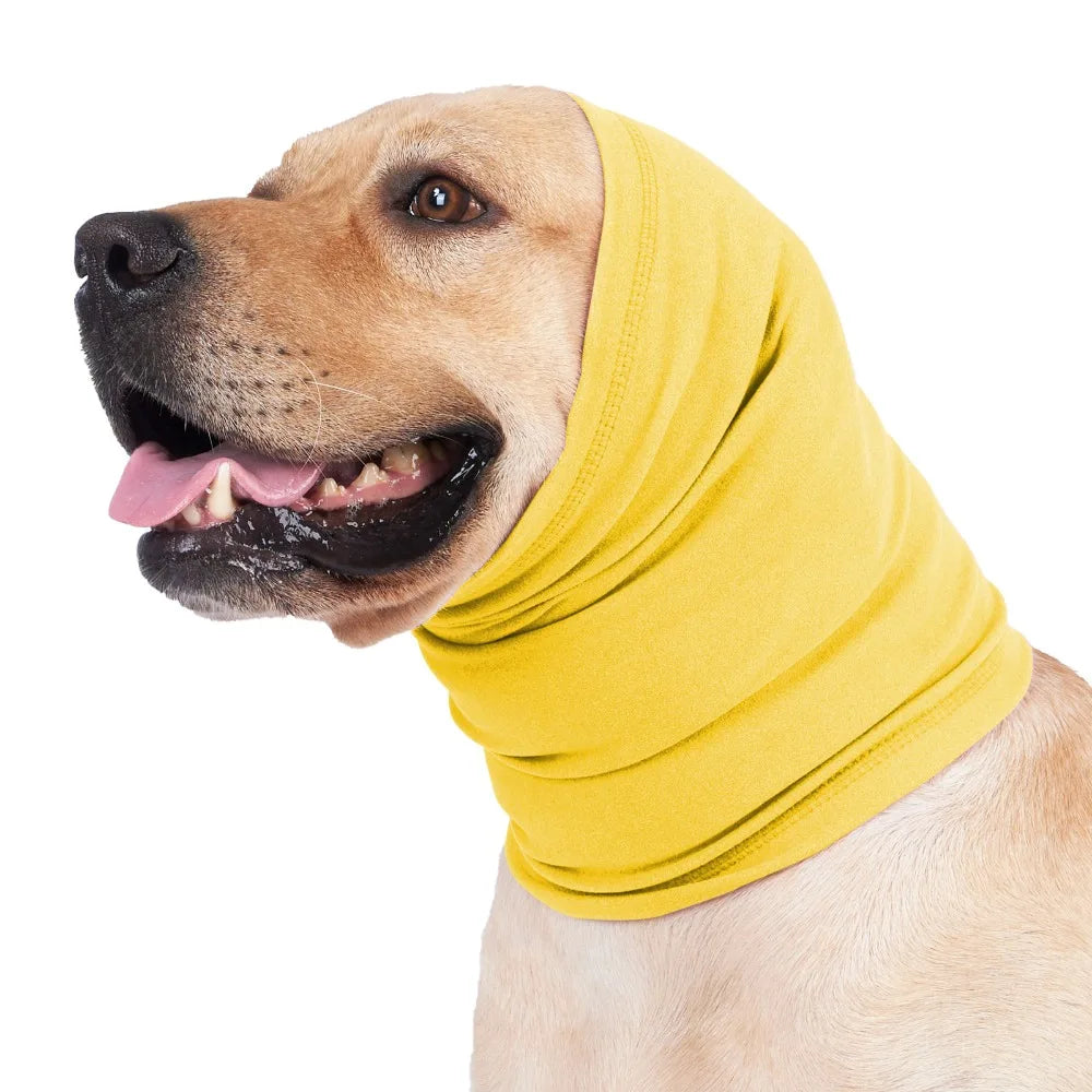Hundertfarbiger Hund trägt eine gelbe beruhigende Ohrenschutz-Mütze für Haustiere.