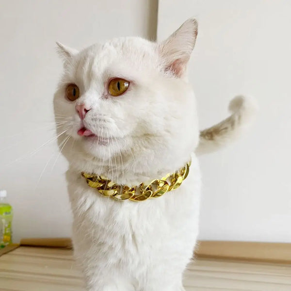 Adjustable Gold Chain Pet Necklace for Cats and Dogs