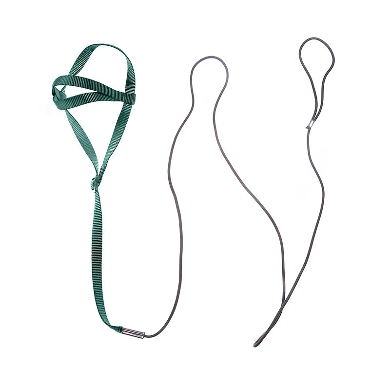 Bird Harness and Leash Set for Outdoor Adventures