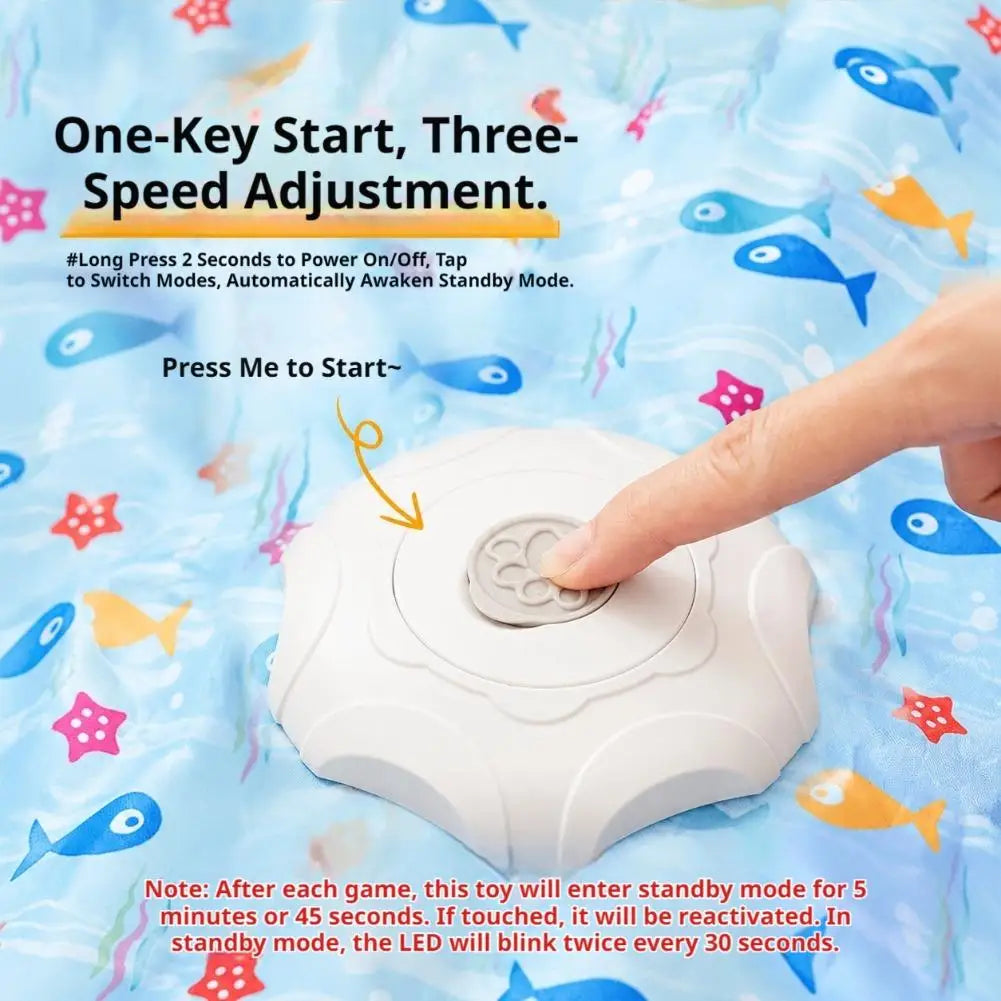 Interactive Hide-and-Seek Cat Toy with Feather Teaser