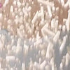 Extra Large Cat Litter Mat