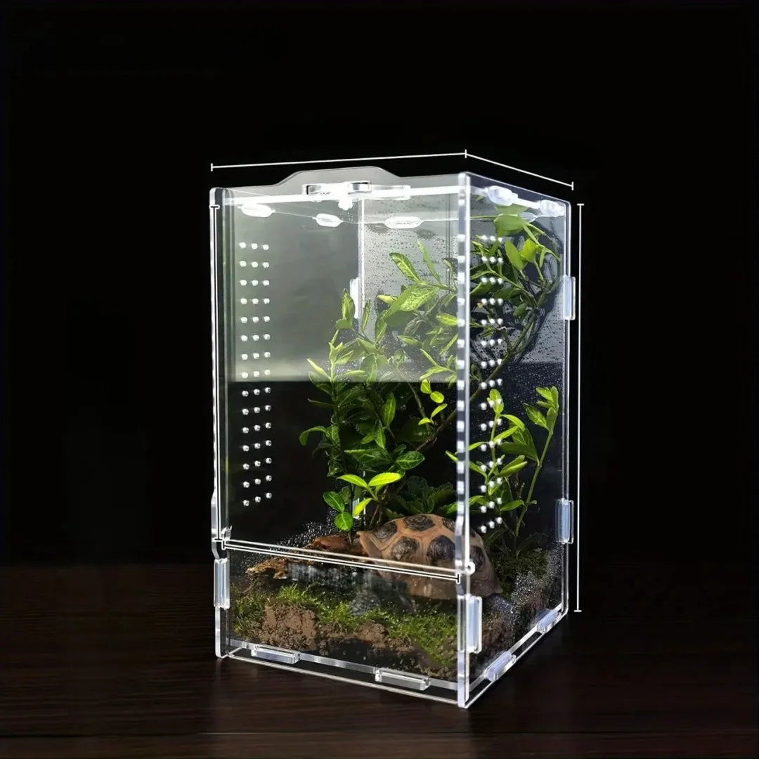 Clear acrylic reptile terrarium with ventilation containing live plants and substrate