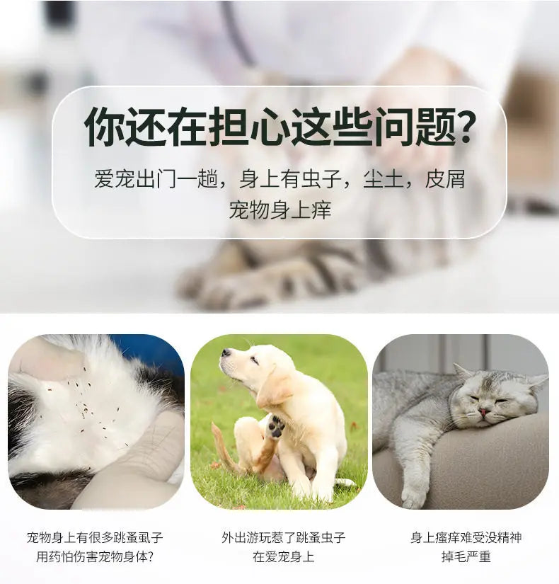 Pet Grooming Comb for Small Dogs and Cats
