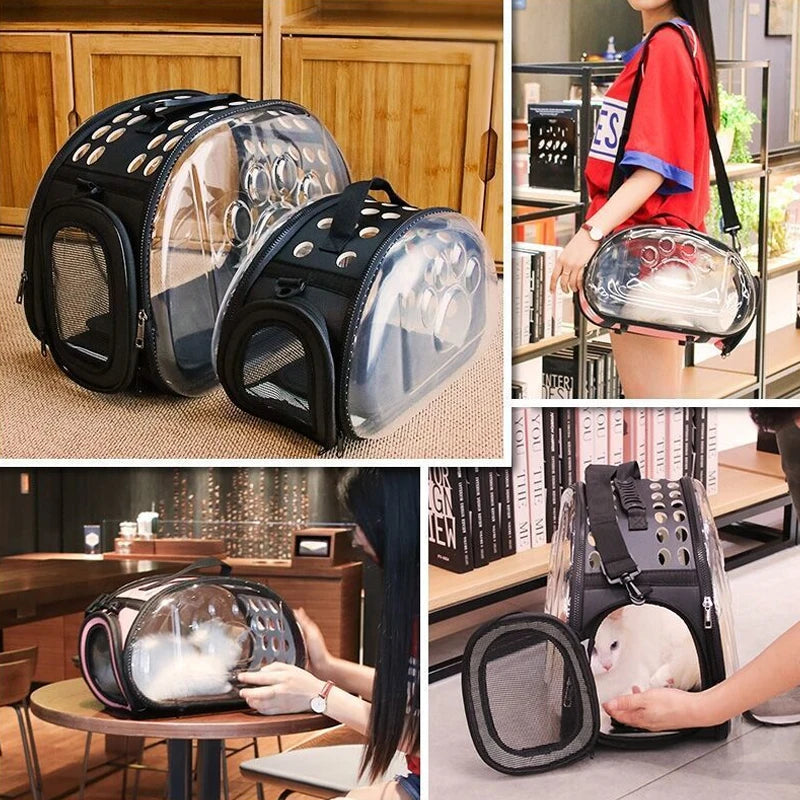 A transparent foldable pet travel carrier with a black shoulder strap is shown in various angles and contexts.