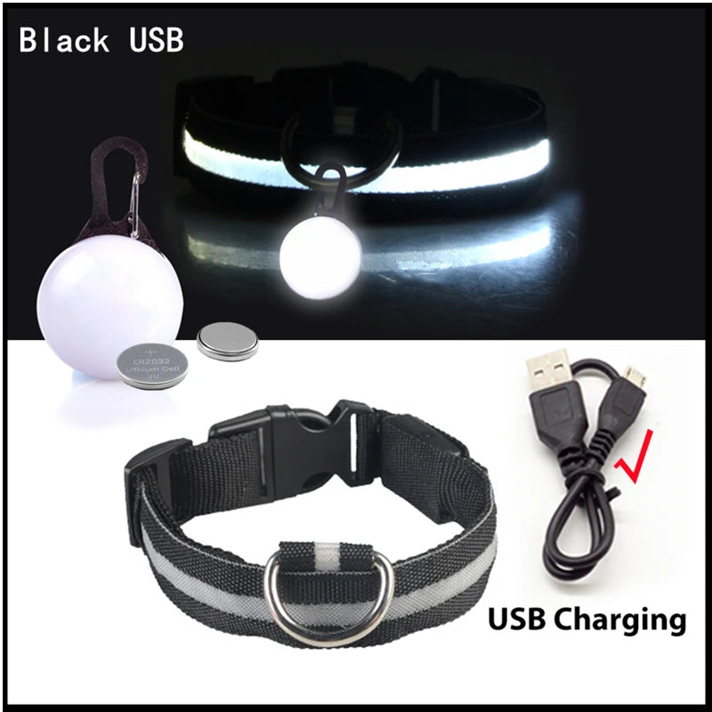 Black USB charging dog collar with a white LED light and safety pendant