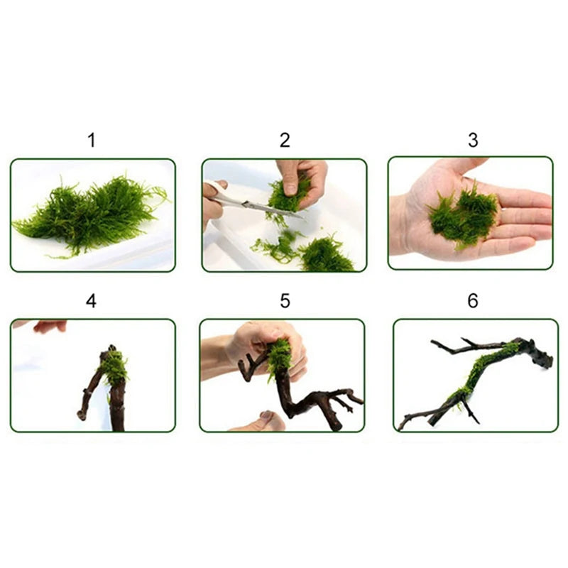 Six steps demonstrating how to use a transparent nylon moss line for aquariums