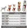 Hundegeschirr-Set aus Leder: Halsband, Geschirr & Leine