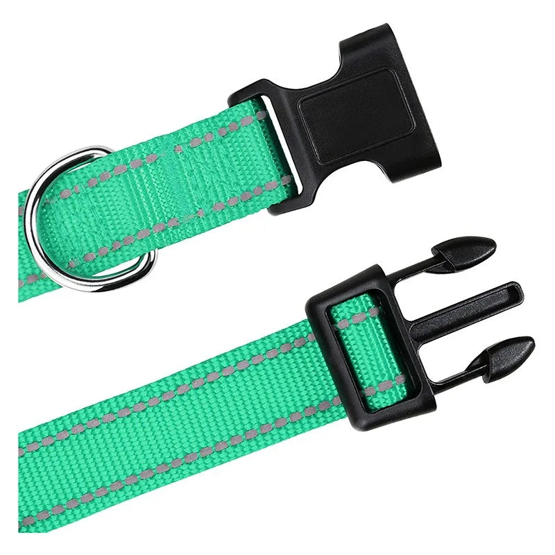 Decorative Nylon Dog Collar with Buckle Closure