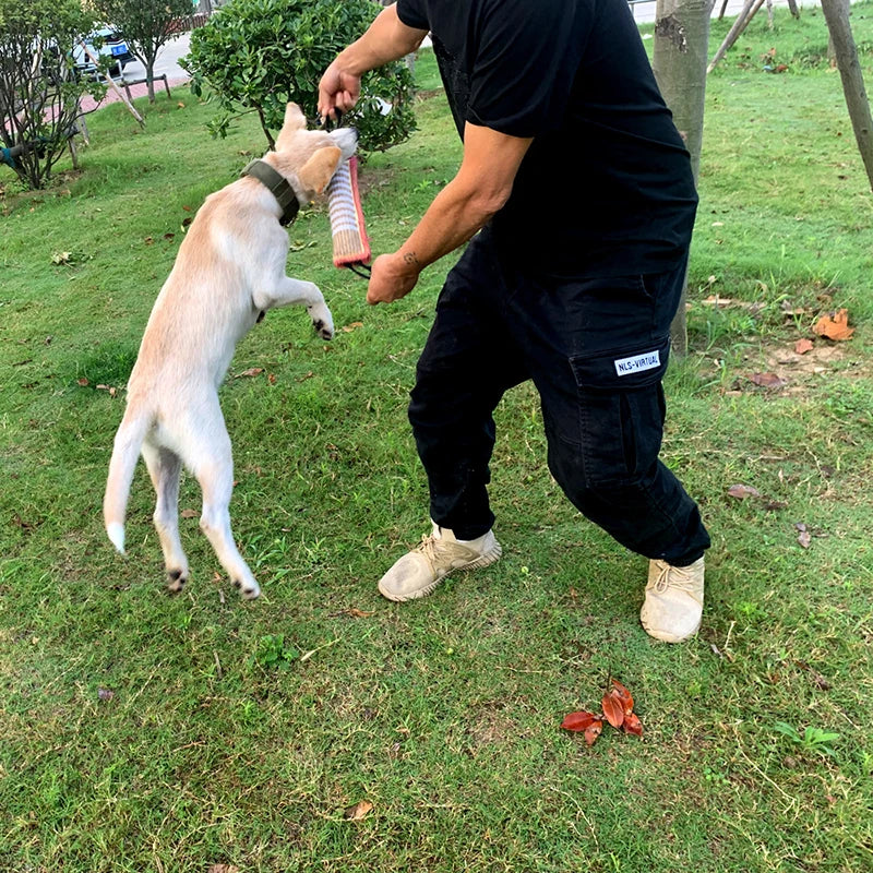 A person is playing tug-of-war with a light-colored dog using a jute toy in a grassy outdoor setting.