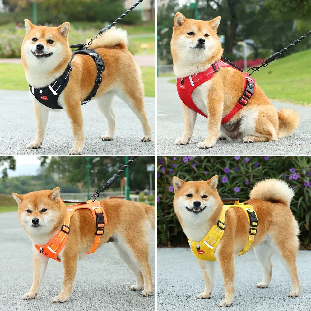 Four images of a Shiba Inu dog wearing an orange and black adjustable reflective harness with a handle.