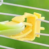 Parrot Food Holder Clip with Chain – Bird Cage Fruit & Vegetable Feeder
