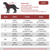 Reflective Winter Dog Coat with Insulated Lining