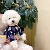 A white dog sits next to a cup of coffee, wearing a navy blue and white plaid knit sweater.