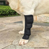 Schwarze Neopren-Kniebandage am Bein eines Hundes, im Freien dargestellt.