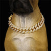 A close-up of a gold diamond Cuban chain pet collar displayed on a dog's neck.